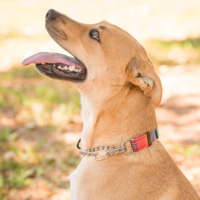 Leash Boss Chain Martingale Patterned Reflective Collar and 6 Ft Double Handle Leash with Padded Handles, Large Collar 19-24.5" Neck, Orange Blanket Pattern