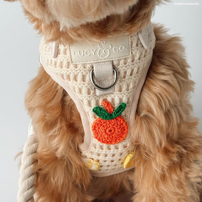 Lucy & Co. Main Squeeze Crochet No-Pull Dog Harness, Adjustable Front Clip Harness with Comfort Padding, Small
