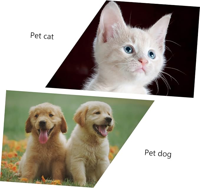 GANAZONO 2pcs Home Pet Toothbrushes Cat Dog Soft Bristle Toothbrush Fine Workmanship