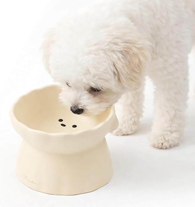 Elevated Dog Bowls, Raised Dog Bowl - Premium Food-Grade Silicone Material, Dog Bowls elevated, Quiet Dog Bowl for Noise-Sensitive Dogs, Non slip, Perfect angle, Cute, Dishwasher Safe (Ivory)