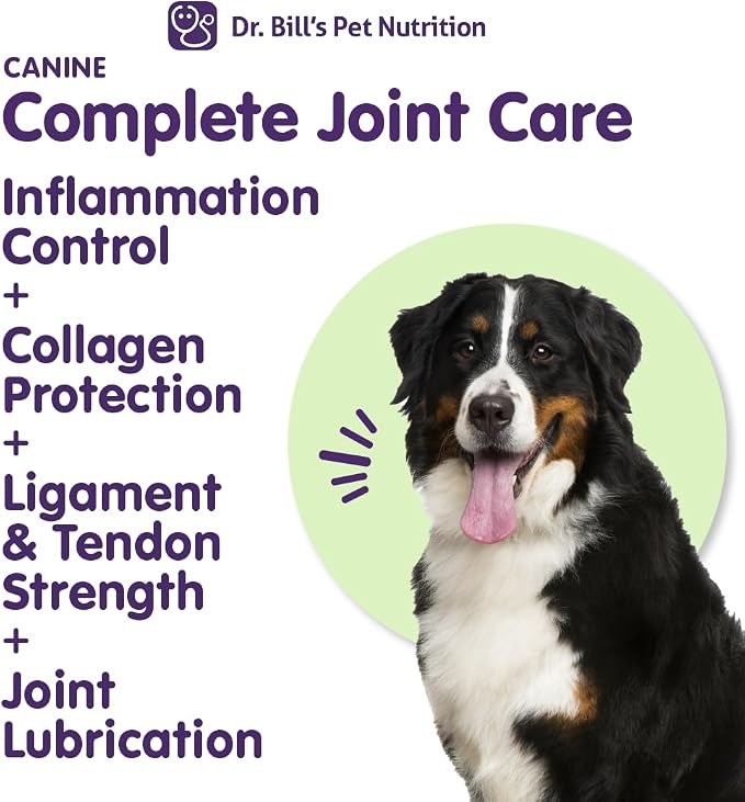 Dr. Bill’s Canine Complete Joint Care – Advanced Hip & Joint Supplement for Dogs – Supports Mobility, Cartilage & Muscle with HMB, Multi-Collagen, Green Lipped Mussel & Turmeric