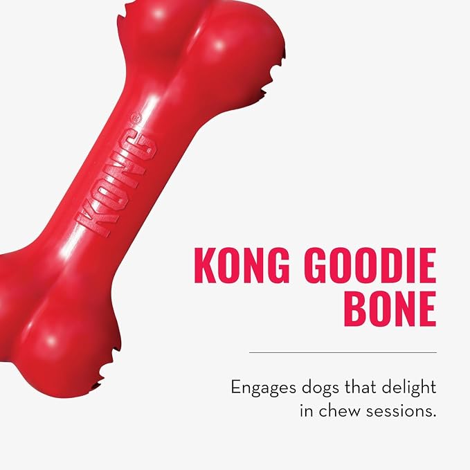 KONG Goodie Bone and Flyer Dog Toy Set, for Medium Dogs | A Two-Toy Set with a Treat-Holding Rubber Bone & a Soft Rebounding Flying Disc to Enrich Daily Playtime