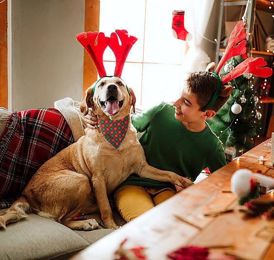 Lionet Paws Cotton Christmas Dog Bandanas, Small (Pack of 1), Small, Red
