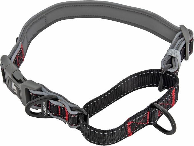 Leash Boss Martingale Collar for Dogs | Reflective Nylon Dog Collar for Large Dogs, Medium and Small Dogs | No Pull Pet Training Collar | Quick Release Buckle, Adjustable Pet Collar