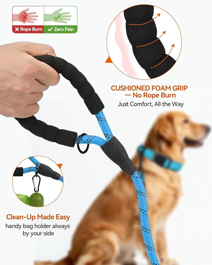 Joytale Rope Dog Leash for Medium Large Dogs, Padded Handle, 6FT, Aqua Blue | Reinforced Nylon Webbing, Comfort Grip Eases Hand Strain, Swivel Clip Prevents Tangles, Visible at Night, for Outdoor Walks