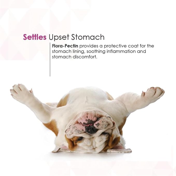 Oral Paste for Dogs & Cats-Helps Reduce Occasional Loose Stool & Diarrhea, Balance Gut pH, Support Normal Digestion & Intestinal Flora-Fast Acting (60 CC - Tasty Chicken Flavor)