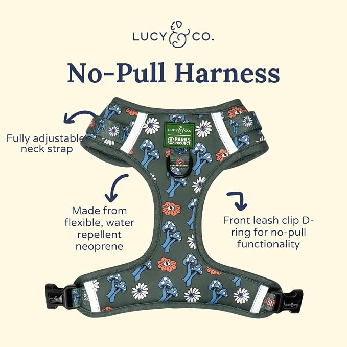 Lucy & Co. x Parks Project Power to the Parks No-Pull Dog Harness, Adjustable Front Clip Harness with Comfort Padding, Medium