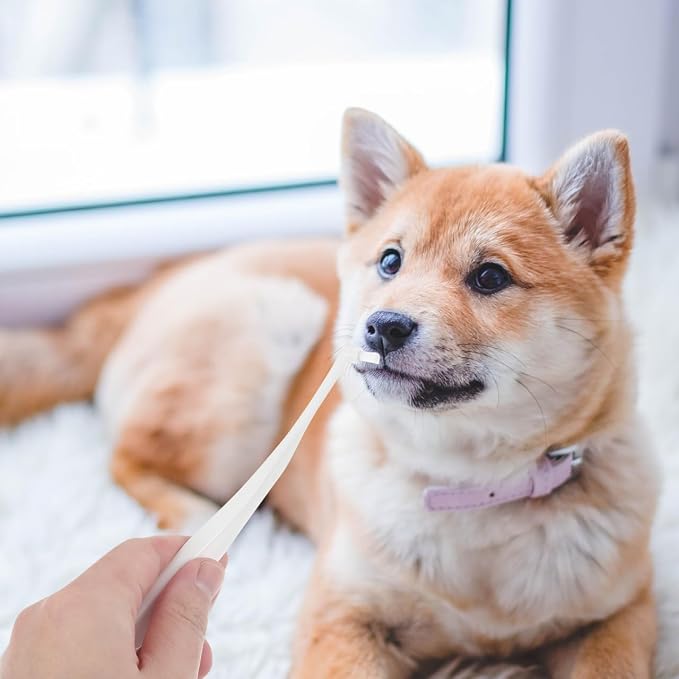 Pet Toothbrush Soft Bristle Dog Teeth Cleaner Reusable Portable Oral Care Tool for Cats and Small Dogs