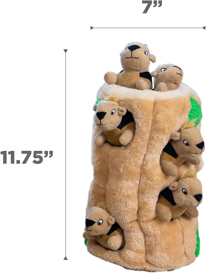 Outward Hound Hide-A-Squirrel Dog Toy – Interactive 2‑in‑1 Plush Puzzle with 6 Squeaky Removable Squirrels, X Large (Pack of 8)