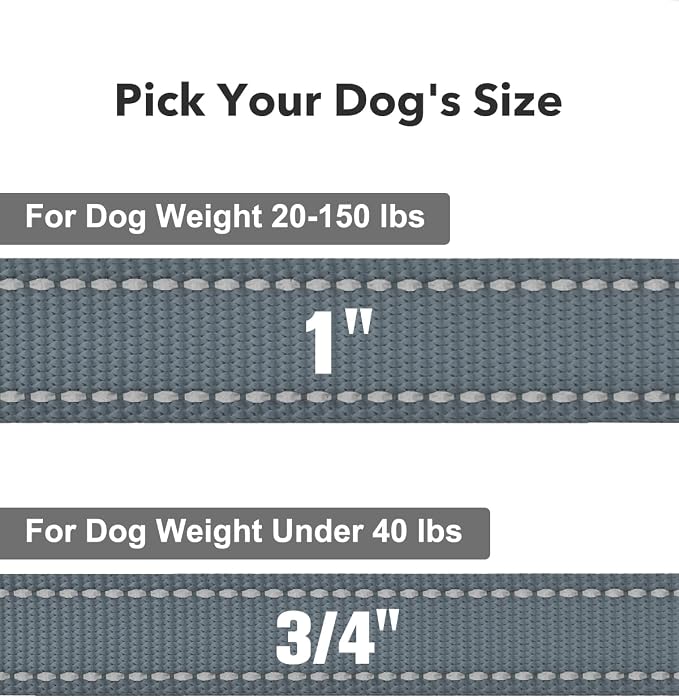 Taglory Reflective Dog Leash for Small Dogs, 3/4in x 6ft, Grey | Ideal for Night Walking, Strong for Sudden Pulls, Lightweight & Gentle on the Neck, Soft Padded Handle