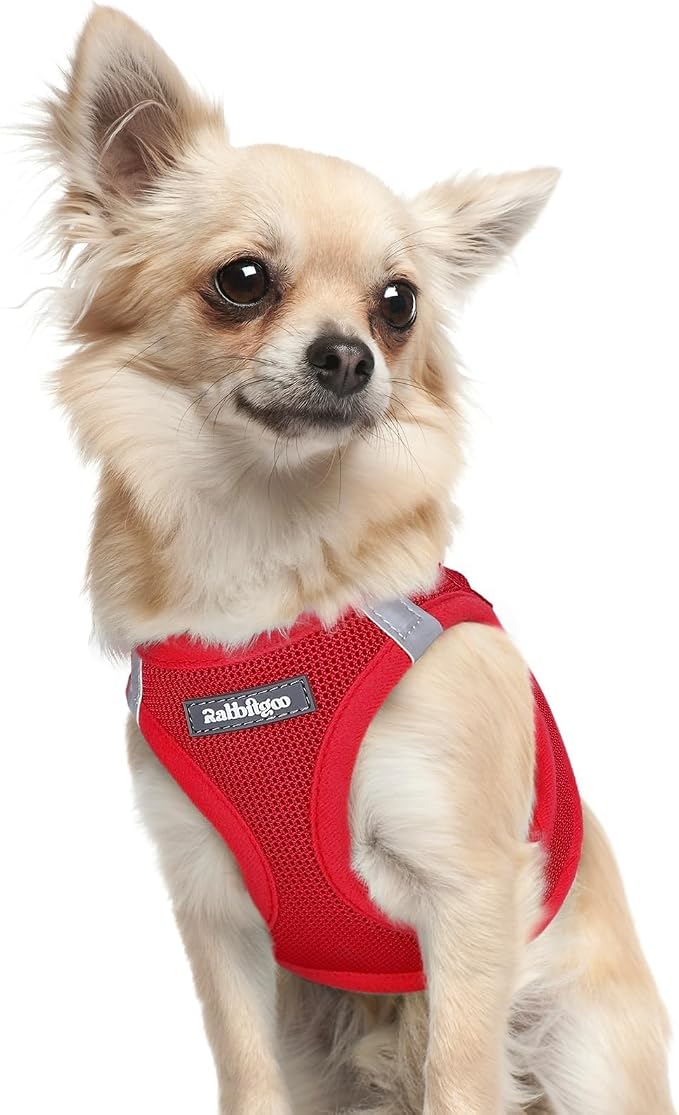rabbitgoo Step-in Small Dog Harness, Puppy Vest for Small Sized Pet | Easy Put on and off, Lightweight, Soft, Breathable Quick-Dry Air Mesh for Comfortable Secure Walking, Red XXXS