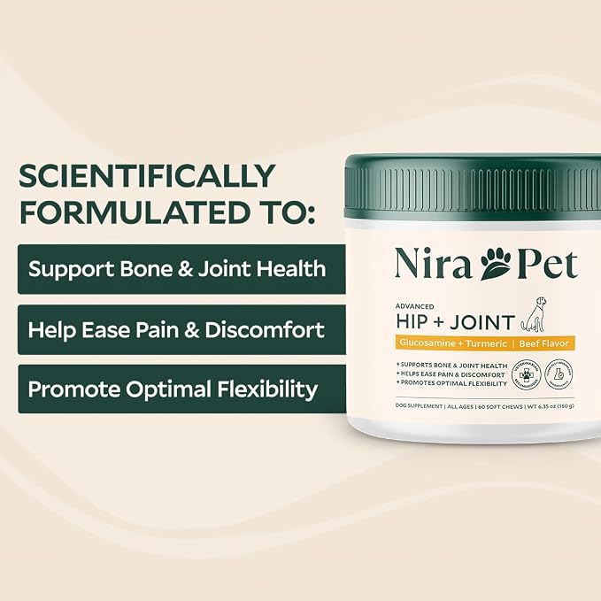 Nira Pet Hip and Joint Supplement for Dogs – Beef Flavor – 60 Soft Chews with Glucosamine, MSM, Chondroitin, Turmeric & Collagen – Supports Mobility, Stiffness & Joint Health