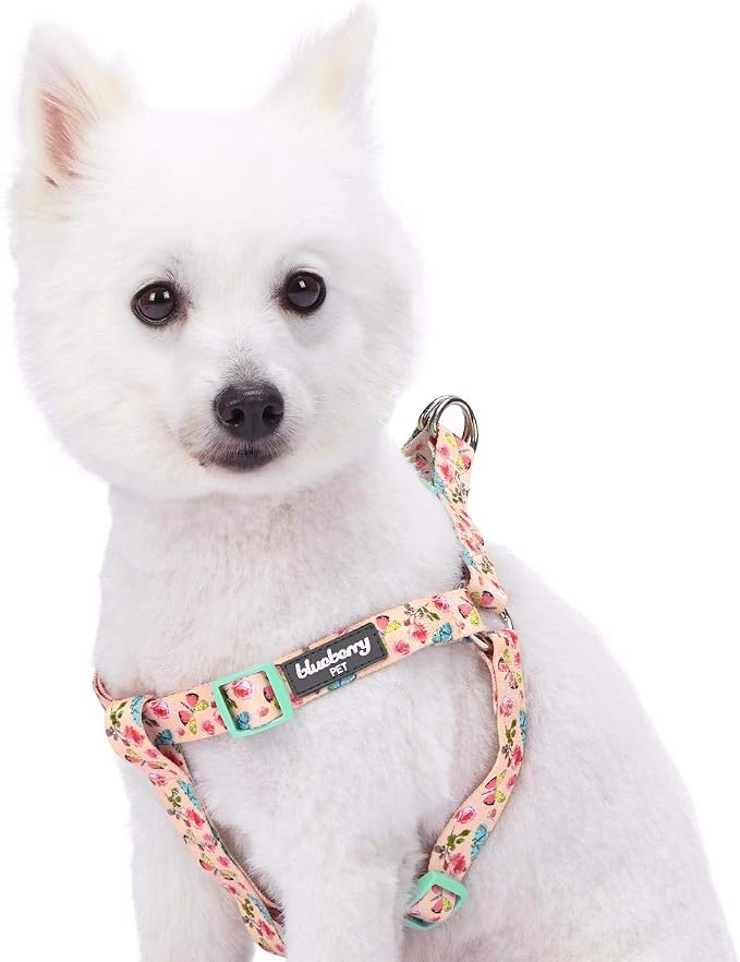 Blueberry Pet 9 Patterns Step-in Spring Scent Inspired Rose and Butterfly Print Pastel Pink Dog Harness, Chest Girth 16.5" - 21.5", Small, Adjustable Harnesses for Dogs