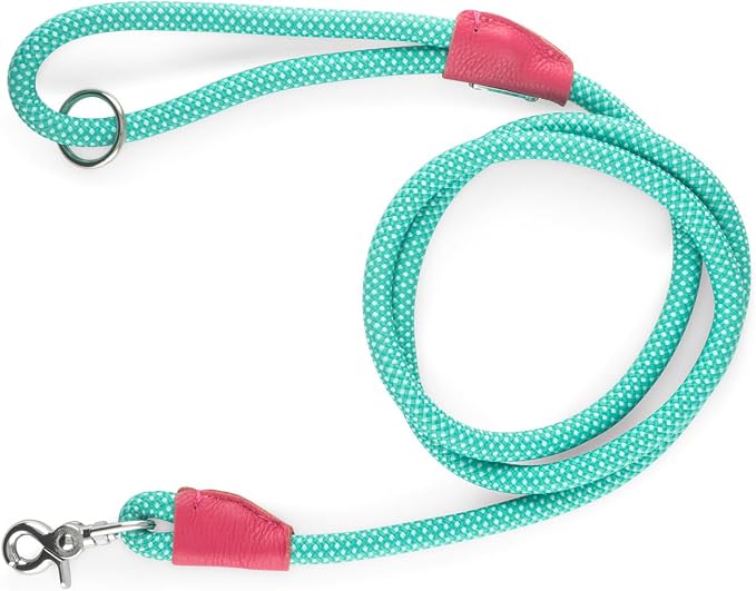 ZippyPaws Dog Rope Leash, 5 Feet, Teal, 0.5 Inches Wide, Leather Accents