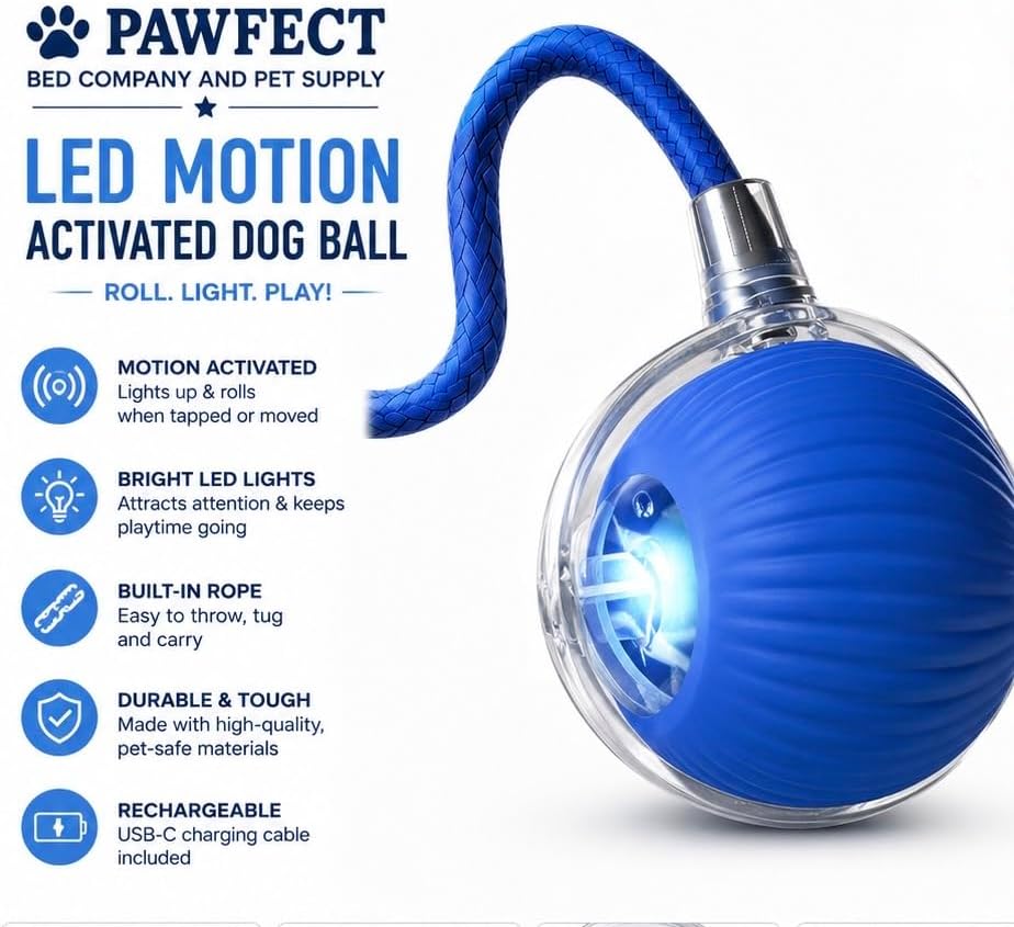 Interactive cat Toy Ball Chaser led recharable USB (Blue)