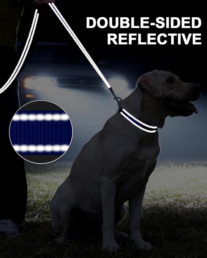 Taglory Reflective Dog Leash for Medium Large Dogs, 1in x 5ft, Navy Blue | Ideal for Night Walking, Strong for Sudden Pulls, Lightweight & Gentle on the Neck, Soft Padded Handle