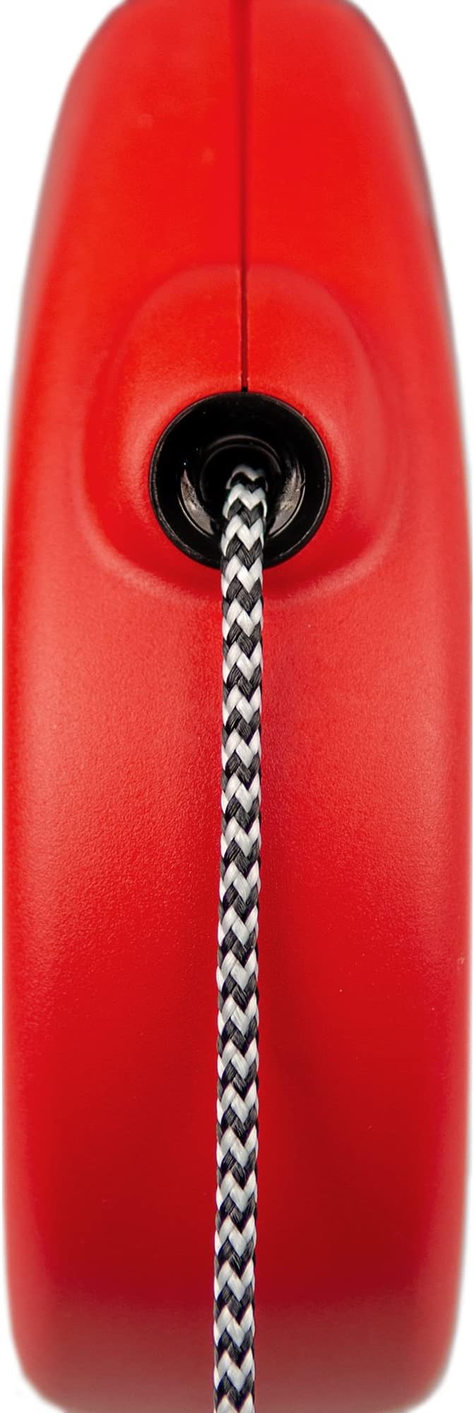 Flexi Basic Standard Cord Red Small 5m Retractable Dog Leash/Lead for Dogs up to 12kgs/26lbs