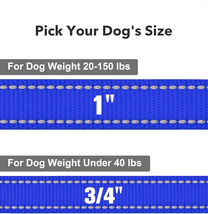 Taglory Reflective Dog Leash for Medium Large Dogs, 1in x 5ft, Navy Blue | Ideal for Night Walking, Strong for Sudden Pulls, Lightweight & Gentle on the Neck, Soft Padded Handle