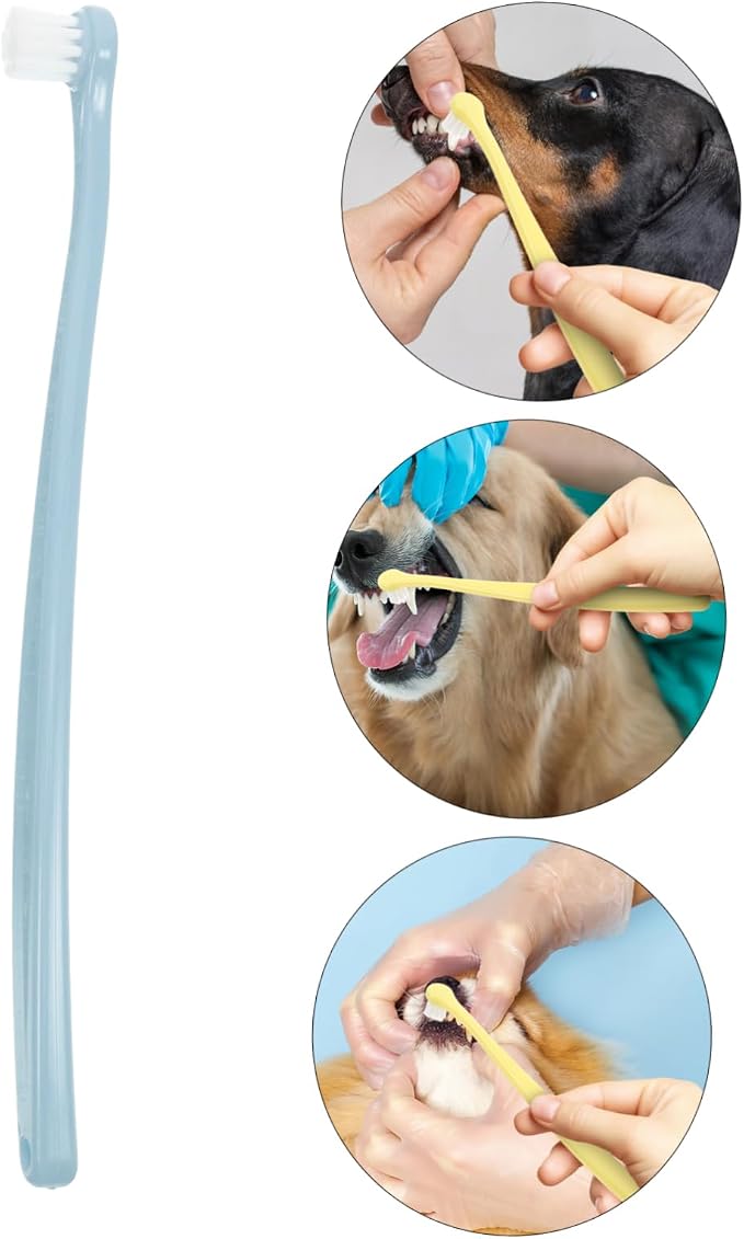 BESPORTBLE Soft PET Toothbrush for Dogs and Cats Round Head Design for Deep Clean Mouth -Piece Dental Cleaning Kit Soft Bristles for Puppies and Kittens