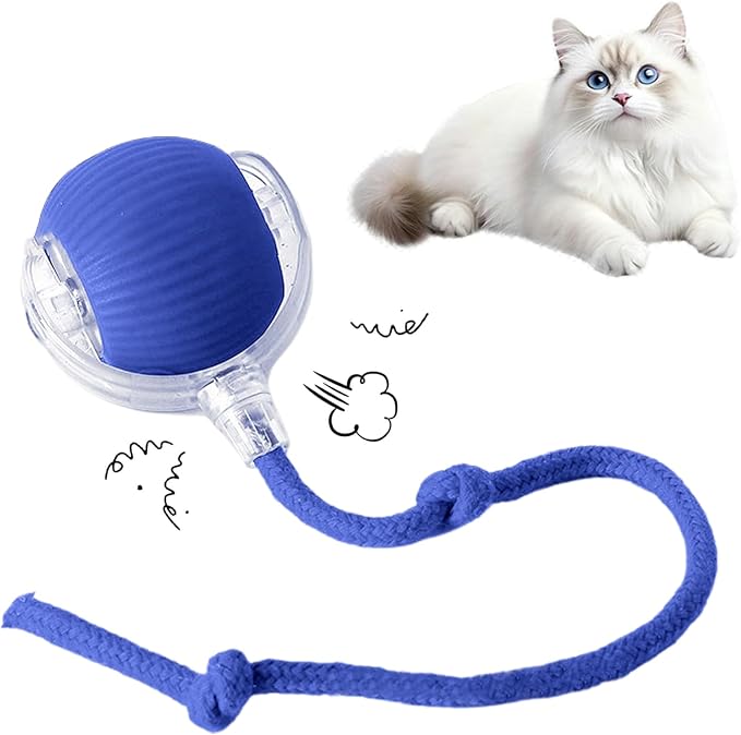 Cat Toy, 360° Automatic Rolling Smart Pet Ball Toys, Motion-Activated, Rechargeable, Four Modes, Three Speed Adjustment, Solve Your Cat's Boredom in Seconds (Blue)