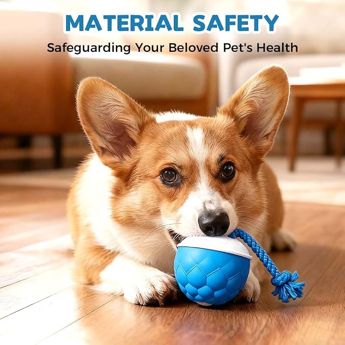 Interactive Dog Toys - 2026 Upgraded Motion Activated Automatic Rolling Ball Toys for Small/Medium/Large Dogs Balls for Boredom to Keep Them Busy with USB Rechargeable (Orange 2Pc)