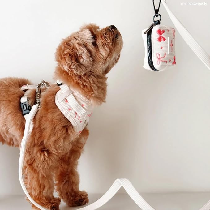 Lucy & Co. Ivory Corduroy Dog Leash, Durable Dog Lead with Heavy Duty Hardware, Small