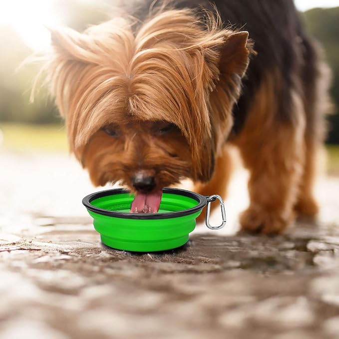 Kytely Large Collapsible Dog Bowls, 2 Pack, 34oz, Green+Purple