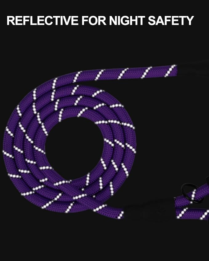 Joytale Rope Dog Leash for Medium Large Dogs, Padded Handle, 5FT, Purple | Reinforced Nylon Webbing, Comfort Grip Eases Hand Strain, Swivel Clip Prevents Tangles, Visible at Night, for Outdoor Walks