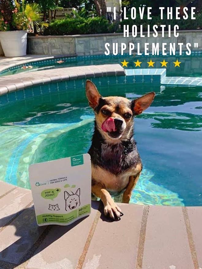 Natural Herbal Hip & Joint Supplements for Dogs & Cats – Holistic All-Natural Herb Blend Joint Supplement Aids Pets with Arthritis, Joint Stiffness, Inflammation, Cartilage Breakdown Pain Relief. 60ct