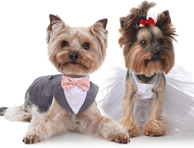IDOMIK Dog Tuxedo for Small Medium Large Doggie, XXL (Pack of 1), Small