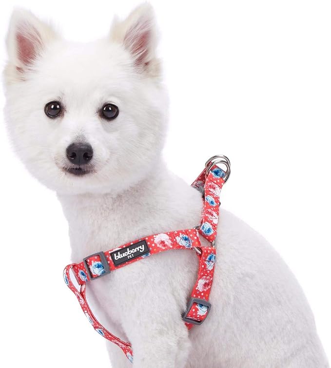 Blueberry Pet 9 Patterns Step-in Spring Scent Inspired Rose and Polka Dot Print Brink Pink Dog Harness, Chest Girth 20" - 26", Medium, Adjustable Harnesses for Dogs