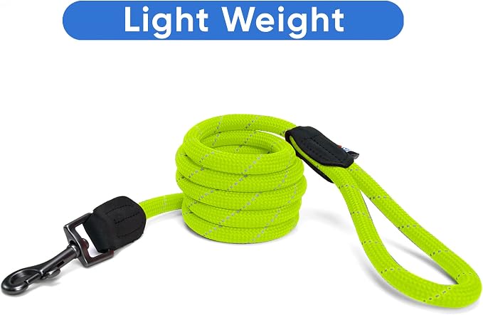 Pawtitas Green Rope Dog Leash, Medium/Large, 6 ft.