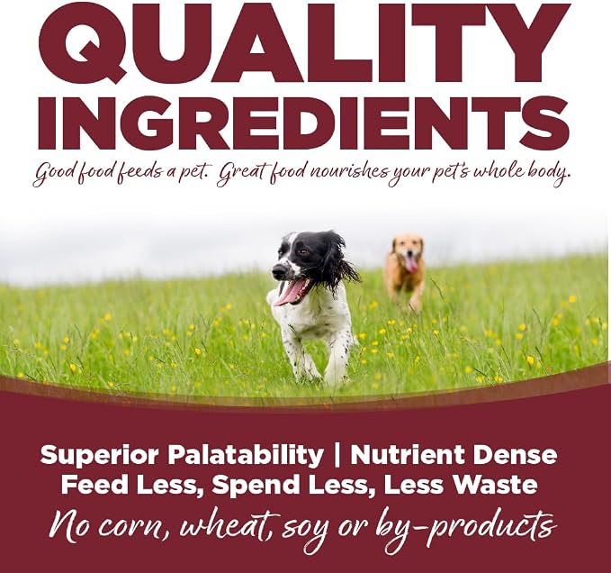 NutriSource Beef & Rice Recipe Premium Wet Dog Food, 12.3 oz (Pack of 12)