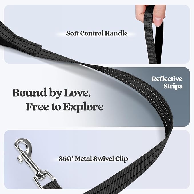 rabbitgoo Dog Harness Small Sized and Leash Set, Step-in Puppy Pet Vest | Light, Soft, Breathable Air Mesh, Easy on and Remove with Hook & Loop, Secure Reflective for Walking, Black M