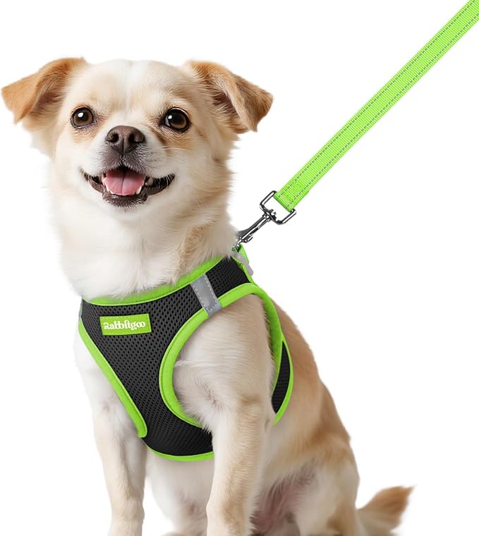 rabbitgoo Dog Harness Small Sized and Leash Set, Step in Soft Vest | Breathable Mesh, Easy Wear with Hook & Loop, Light and Reflective for Walking, Multi-colored, Black & Green, XXS