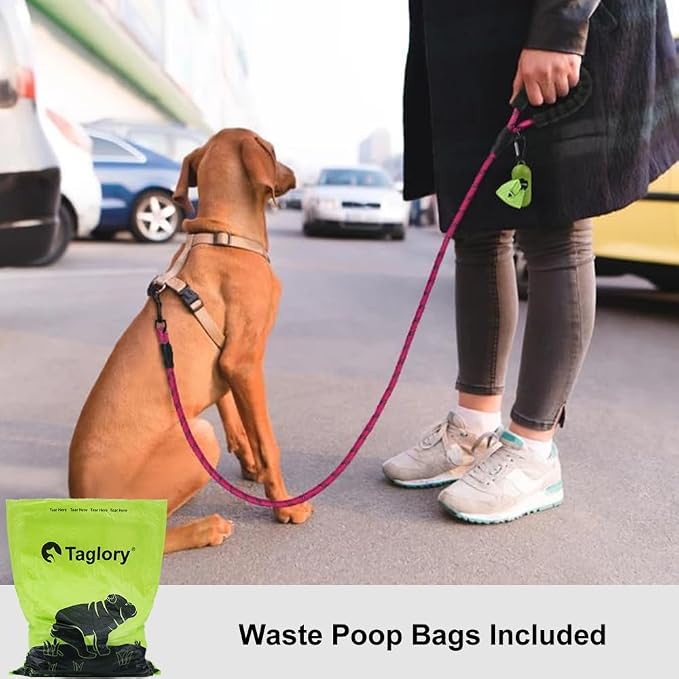 Taglory Rope Dog Leash for Small Medium Dogs, 5 FT Padded Handle, Hotpink | Made of Climbing Rope, Reflective for Night Walks and Training, Comfortable Grip, Anti-tangle Swivel Clip, 3/8 inch