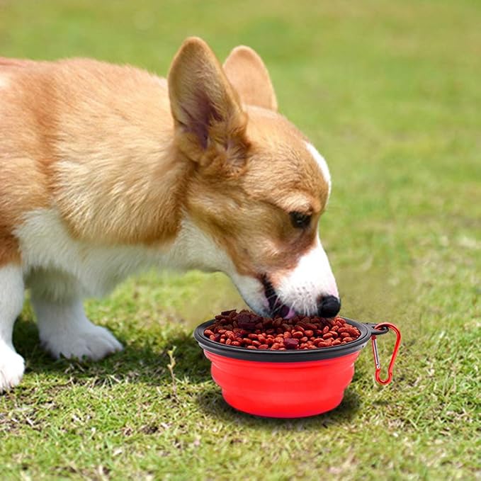 Dog Bowl Collapsible, 2 Pack, with Carabiners, Small, Blue+Red