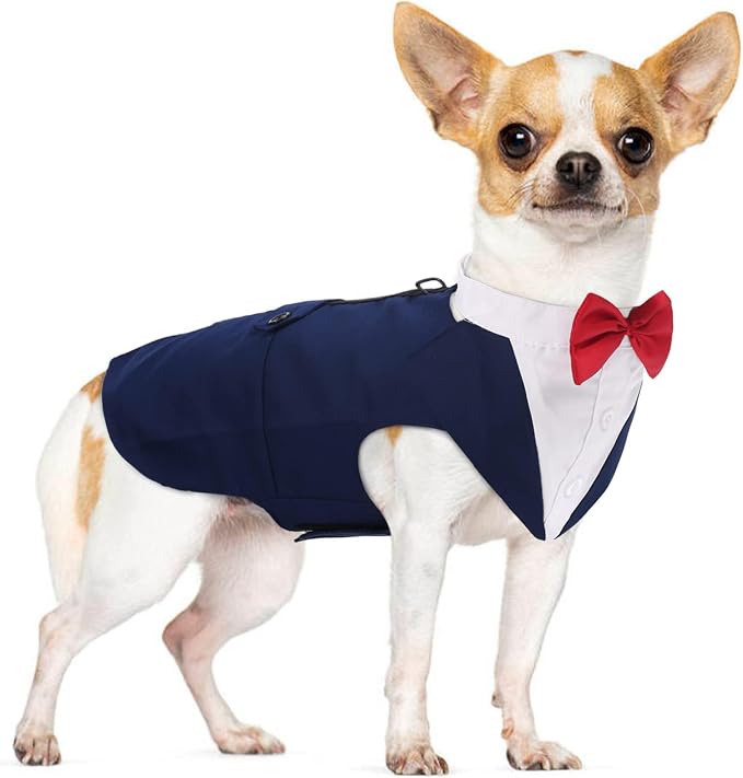 PUMYPOREITY Small Dog Bowtie Tuxedo Suit, Small (Pack of 1), Small, Blue