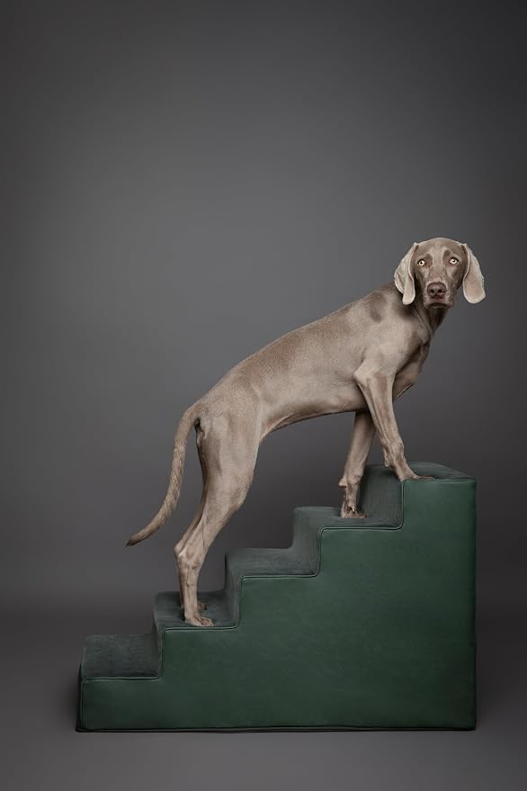 Noah & Paw Dog Stairs, Dog Ramp for Bed (20" Extra Wide) Pet Stairs for High Bed, Design to Fit Small and Large Breeds, Durable 5 Pet Steps for Couch (35 Foam Density) Leather Collection