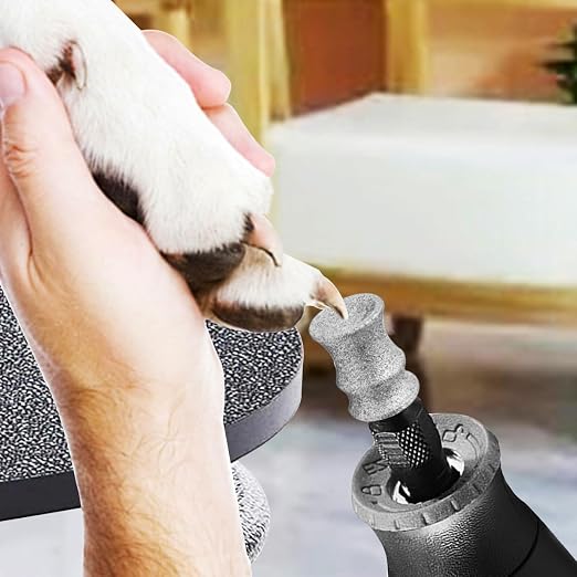 Diamond Dog Nail Grinder Bit, Dremel-Compatible, B