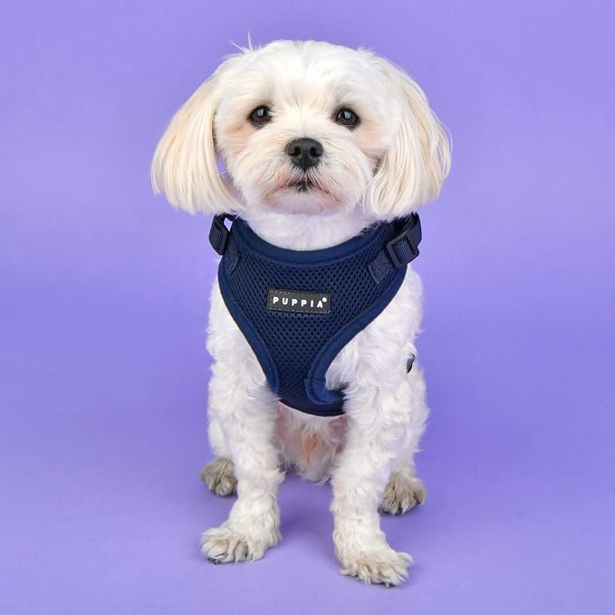 Puppia Authentic RiteFit Harness with Adjustable Neck ORANGE, Medium