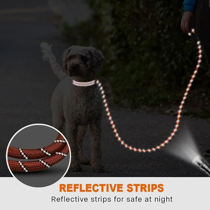Taglory Rope Dog Leash for Small Medium Dogs, 5 FT Padded Handle, Orange | Made of Climbing Rope, Reflective for Night Walks and Training, Comfortable Grip, Anti-tangle Swivel Clip, 3/8 inch