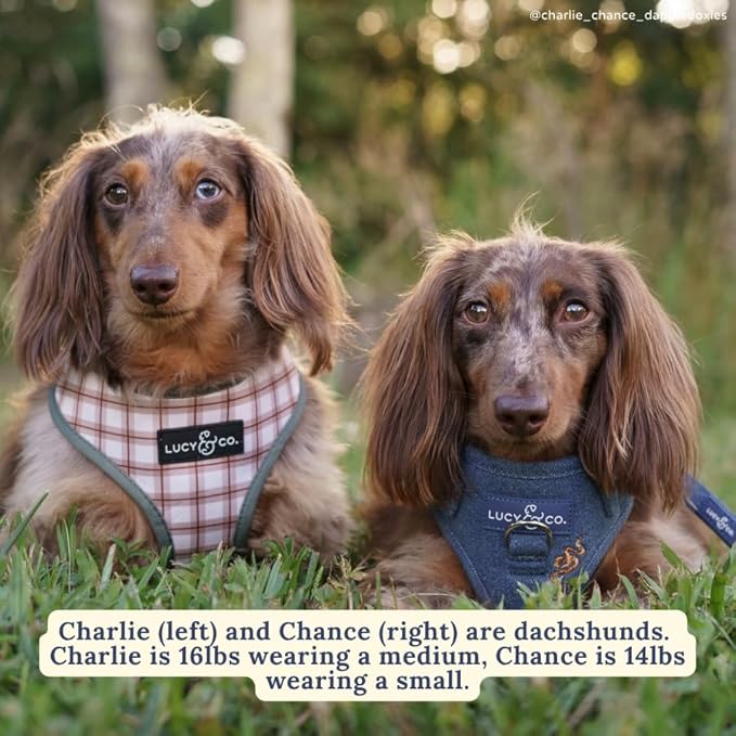Lucy & Co. The Giddy Up No-Pull Dog Harness for Dogs – Vest to Stop Pulling & Walk Easy – Comfortable Leash Training Product w/Adjustable Chest & Neck Straps - Blue Demin Cowboy - X-Large