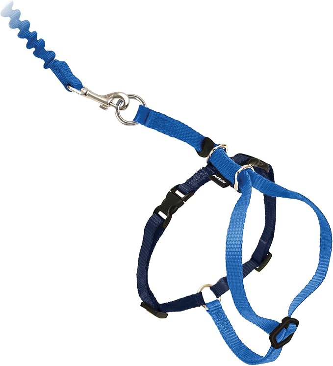 PetSafe Come With Me Kitty Harness and Bungee Leash, Harness for Cats, Large, Royal Blue/Navy, CWMK-L-RYL | Adjustable 2-Point Fit Applies Gentle Pressure to Shoulders, Not Neck, for Average and Large Cats with 13 in - 18 in Girth
