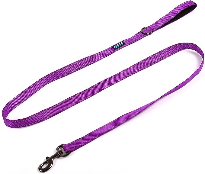 Max and Neo Reflective Nylon Dog Leash - We Donate One for Every Sold (Purple, 6ft)