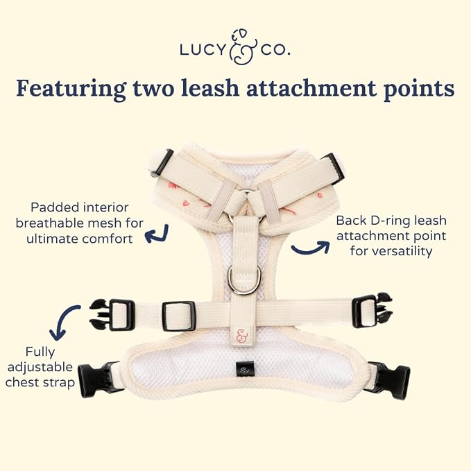 Lucy & Co. Ever So Sweet No-Pull Dog Harness, Adjustable Front Clip Harness with Comfort Padding, X-Large