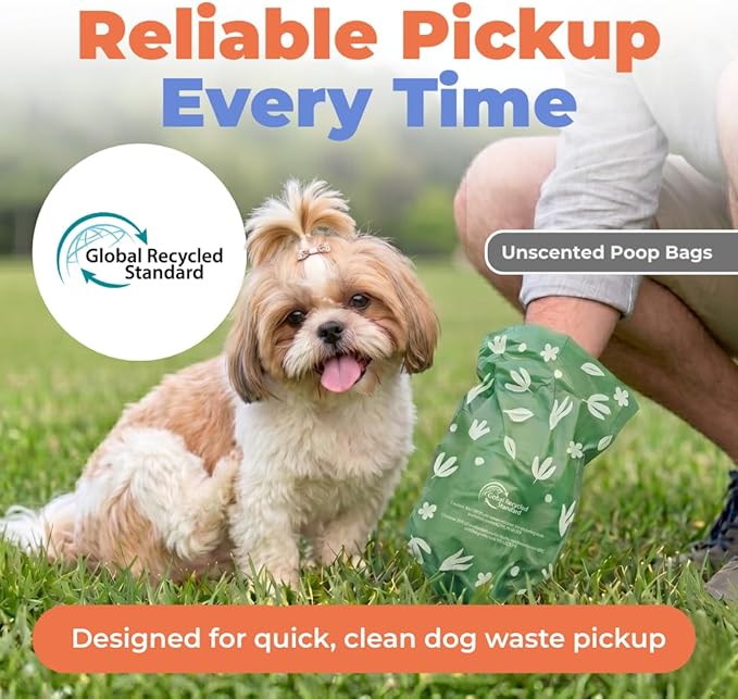 Best Pet Supplies Dog Poop Bags for Waste Refuse Cleanup, Doggy Roll Replacements for Outdoor Puppy Walking and Travel, Leak Proof and Tear Resistant, Thick Plastic - Green (Unscented), 300 Bags