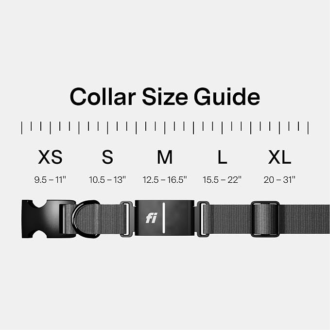 Fi Series 3+ GPS + Health Dog Collar, Gray, Medium, 12-Month Membership | Smart GPS dog collar with live tracking, health & behavior, Escape Alerts, LED light. Waterproof and Apple Watch compatible.