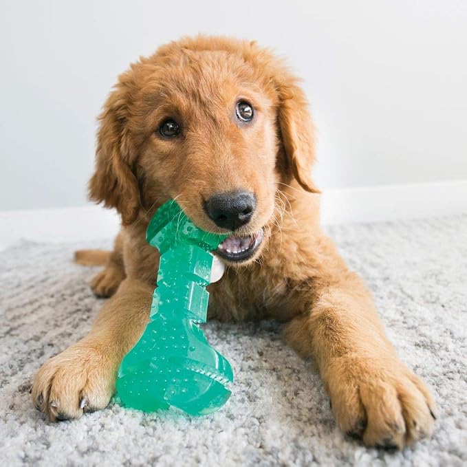 KONG Squeezz Dental Ball, Flexible Dental Chew Toy, for Medium/Large Dogs | Flexible Squeezable Dental Toy for Gentle & Mild Chewers, Helps Clean Teeth & Gums During Engaging Play