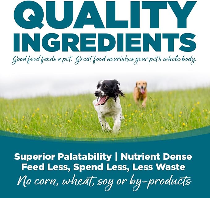 NutriSource Chicken & Rice Recipe Premium Wet Dog Food